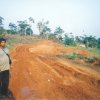 Ngoya