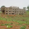 Ngoya