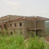 Ngoya