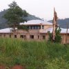 Ngoya